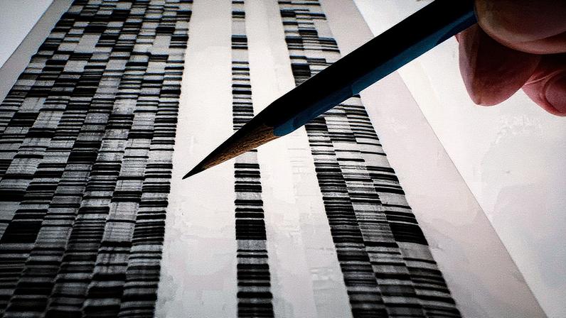 Um lápis aponta para um ponto em uma sequência de DNA (Foto: Getty Images)