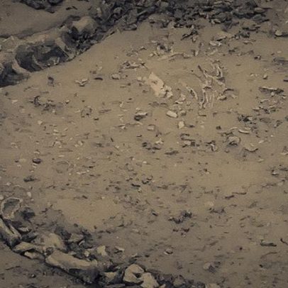 Cientistas descobrem fóssil raro da era Jurássica em vila da Índia