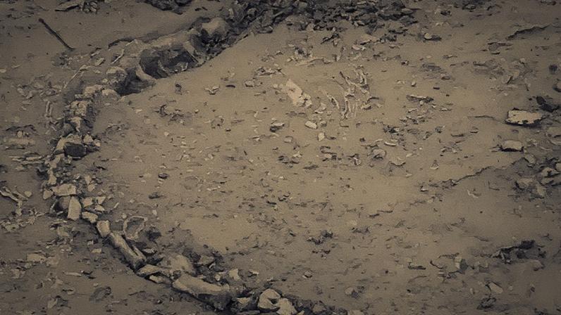 Os restos de uma espécie semelhante a um crocodilo foram avistados pela primeira vez por alguns moradores da vila na semana passada - Foto: ANI