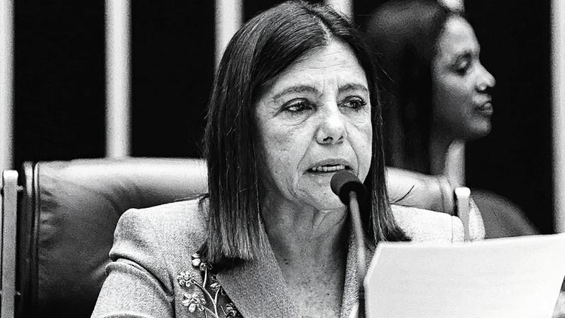 Deputada federal Roseana Sarney (Foto: Vinicius Loures/Câmara dos Deputados)