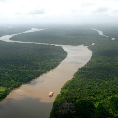 COP30 na Amazônia define futuro climático em cúpula decisiva para o planeta