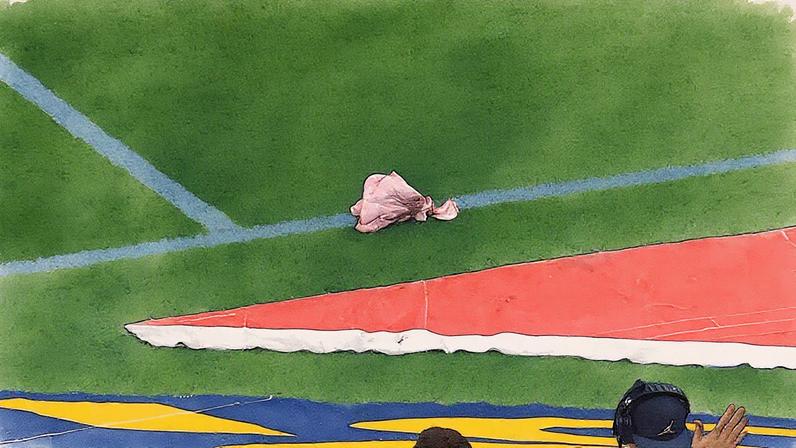 Torcedores do Corinthians jogam cabeça de porco no campo em clássico com o Palmeiras (Foto: Reprodução/Premiere)