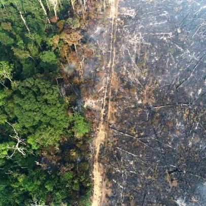 COP30 na Amazônia busca soluções urgentes para financiamento climático global