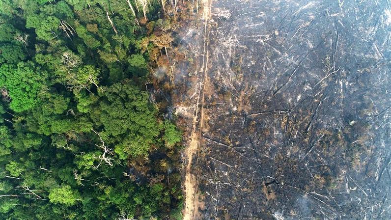 Vista aérea de área queimada na Amazônia (Foto: Ueslei Marcelino/Reuters)