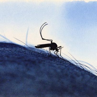 Dengue se espalha com calor e chuvas em novas epidemias pelo Brasil