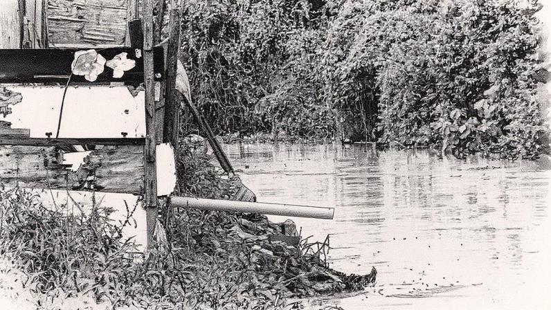 Cano que despeja esgoto das casas no rio Tietê na Comunidade Chácara Três Meninas, na divisa entre São Paulo e Guarulhos (Foto: Zanone Fraissat - 18.nov.23/Folhapress)