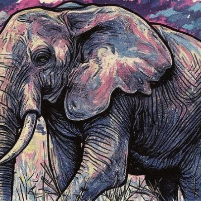 Elefantes: descubra 7 curiosidades sobre esses animais inteligentes e empáticos