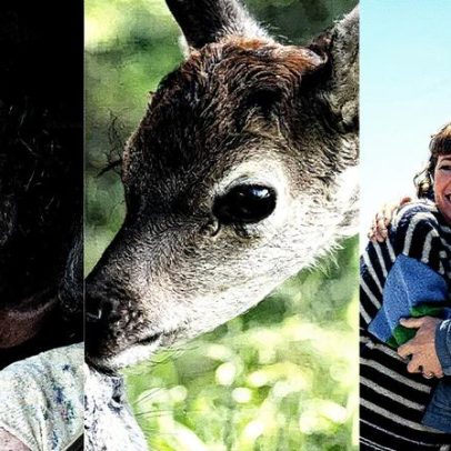 Filmes como 'O último azul' e 'Bambi' marcam a Semana do Cinema em cartaz