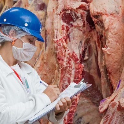 Carne bovina brasileira enfrenta riscos de perder mercado nos Estados Unidos