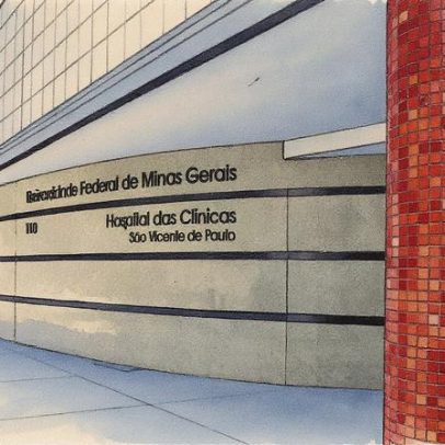 Bebês são realocados após infestação de piolhos de pombo em UTI neonatal