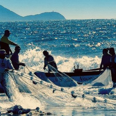 Investigações revelam fraudes na concessão do seguro-defeso na pesca