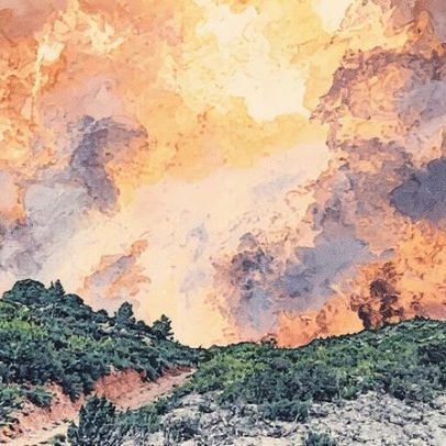 Incêndio devastador no sul da França atinge vinhedos e causa destruição
