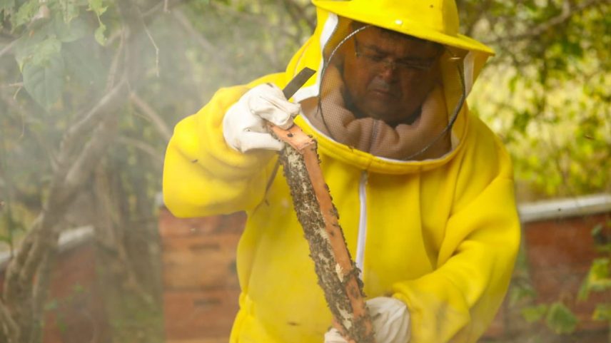 Samuel Araújo, CEO do Grupo Sama, que produz mel orgânico (Foto: Divulgação)