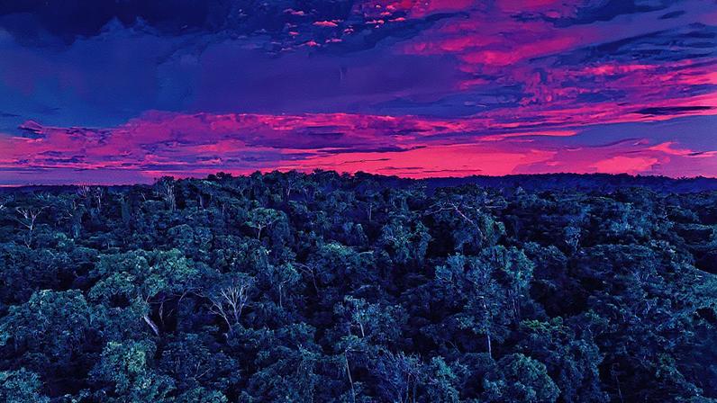 Floresta amazônica no Mato Grosso: países menos desenvolvidos ainda recebem fatia pequena do financiamento climático (Foto: Dado Galdieri/ Bloomberg)