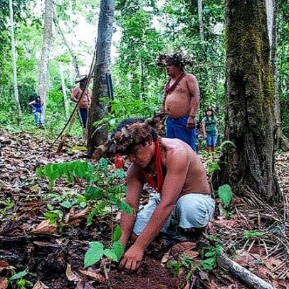 Proteger territórios indígenas é essencial para o equilíbrio climático global