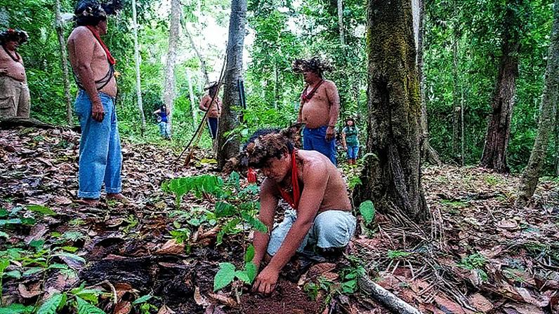 Conhecimentos ancestrais dos povos indígenas garantem a preservação dos recursos naturais amazônicos (Foto: GETTY IMAGES)