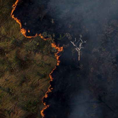 Governo institui licença ambiental especial com validade de 12 meses