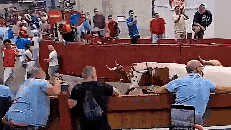 Jornalista é 'atropelado' por touros em festival na Espanha (Foto: Reprodução/X)
