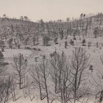 França enfrenta o maior incêndio florestal dos últimos 70 anos