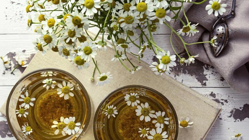 Chá de camomila ajuda no desconforto estomacal (Foto: Freepik)