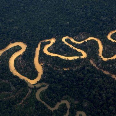 Decreto do Amazonas facilita grilagem e ameaça terras indígenas, alertam especialistas