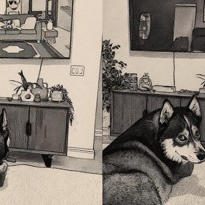 Cachorro reage de forma hilária ao desligar desenho favorito em 'Bluey' e viraliza