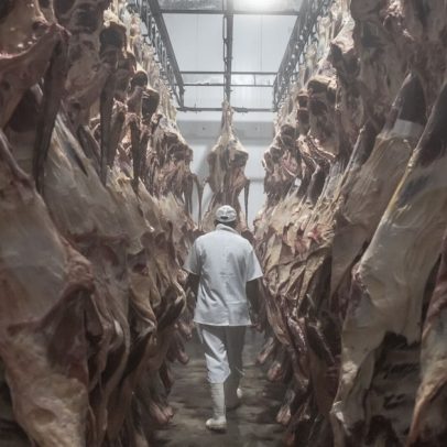 Marfrig registra crescimento no resultado impulsionado pela América do Sul