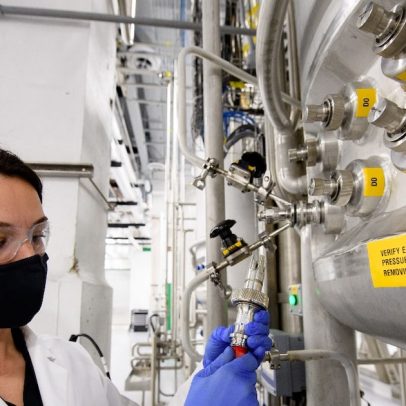 Empresa investe em biotecnologia com RNA para controlar pragas na agricultura brasileira
