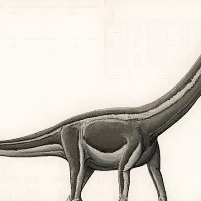 Doença mortal atinge dinossauros pescoçudos e causa extinção em SP