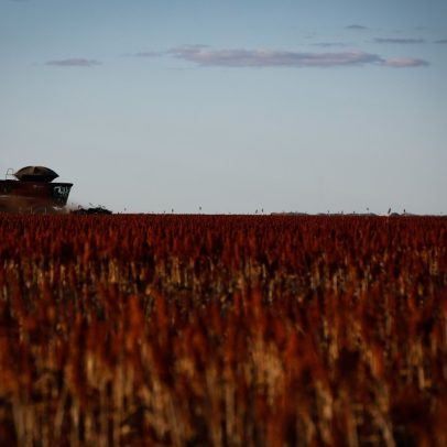 Dependência de fertilizantes russos persiste e preocupa agricultores brasileiros