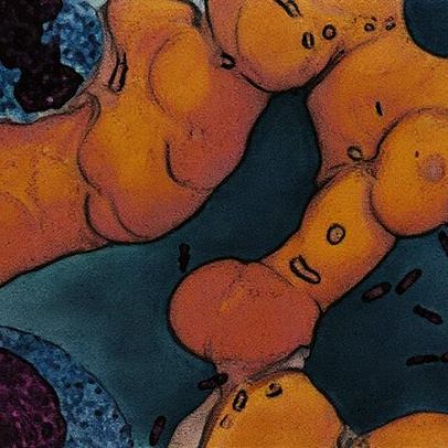 Cientistas desvendam origem da primeira pandemia da história após 1,5 mil anos