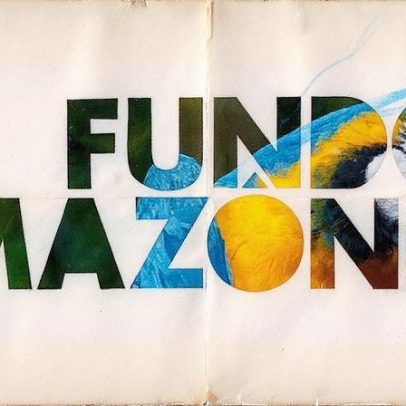 Fundo Amazônia: entenda sua importância para a preservação da floresta brasileira
