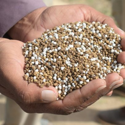 Brasil enfrenta riscos de novas taxações dos EUA devido à dependência de fertilizantes russos