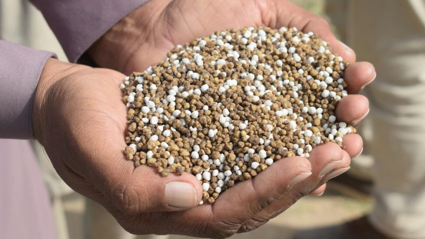 Fertilizantes (Foto: Foto de Kashif Shah)