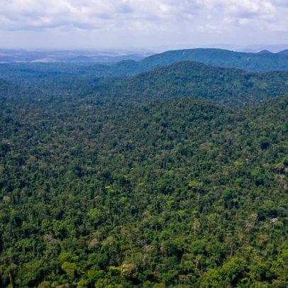 Pará divulga dados que evidenciam queda no desmatamento na região
