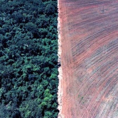 Brasil perdeu área natural equivalente à Bolívia em 40 anos, aponta MapBiomas
