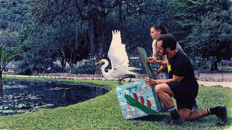 Garça-branca é solta pelo Instituto Vida Livre no Jardim Botânico (Foto: Divulgação/Instituto Vida Livre)