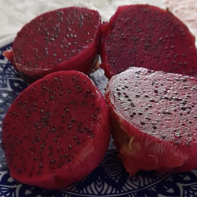 Pitaya probiótica ativa gene que combate inflamações intestinais