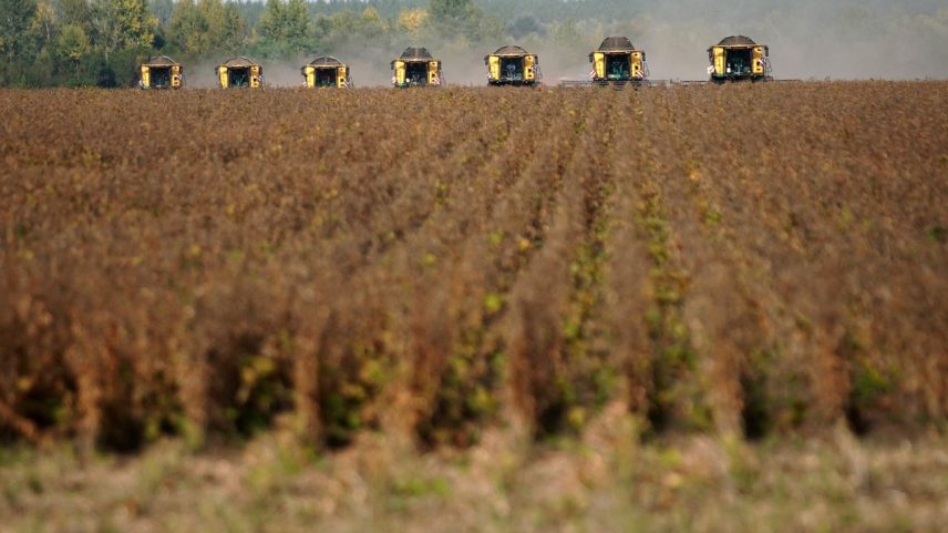 Colheitadeiras atravessam um campo de soja: máquinas exportadas para os EUA serão impactadas pelo tarifaço de Trump (Foto: Oliver Bunic/Bloomberg)