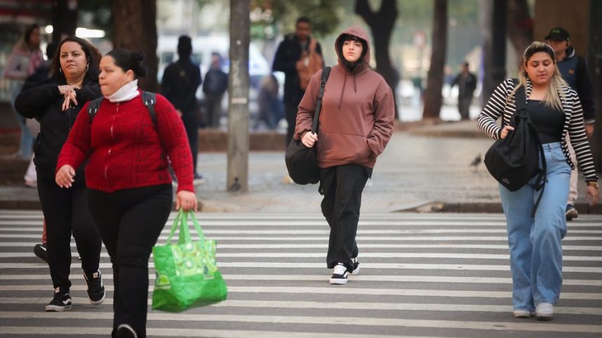 Pedestres caminham em dia de frio na capital paulista. (Foto: Divulgação/Governo de SP)