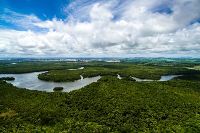 A Amazônia, berço da COP30, tem na bioeconomia o principal motor do seu desenvolvimento (Foto: iStock/Thinkstock)