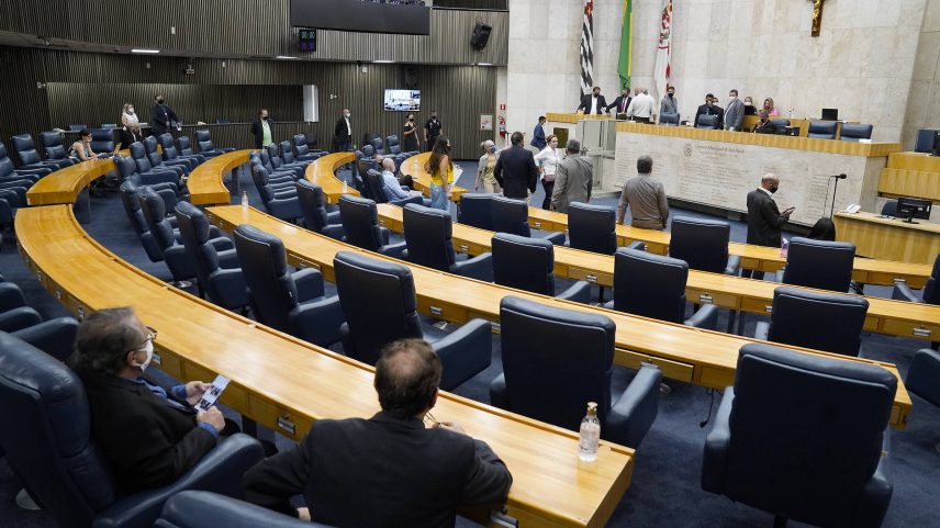 Sessão Plenária Extraordinária na Câmara dos Vereadores de São Paulo (Foto: Afonso Braga/Secom)