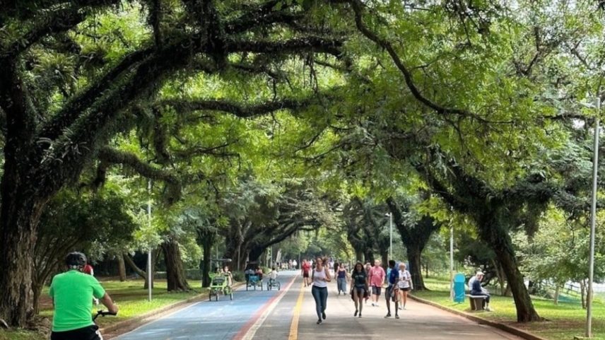 Entre 2019 e 2023, o mercado de suplementos cresceu mais de 70% no país. Até 2028, a projeção é que avance mais 120%, com movimentação superior a R$ 9 bilhões (Foto: Reprodução)