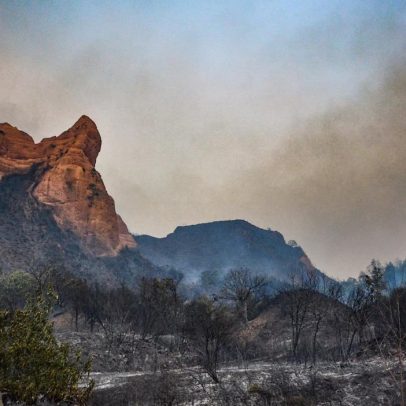 Incêndios florestais graves persistem no norte da Espanha e preocupam autoridades