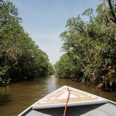 Segurança jurídica é essencial para garantir a preservação ambiental eficaz