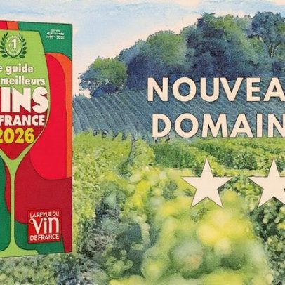 Destaques do guia de vinhos da França 2026 com novos domínios premiados