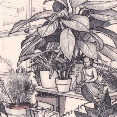 Planta purificadora transforma o ar da sua casa e elimina o mofo