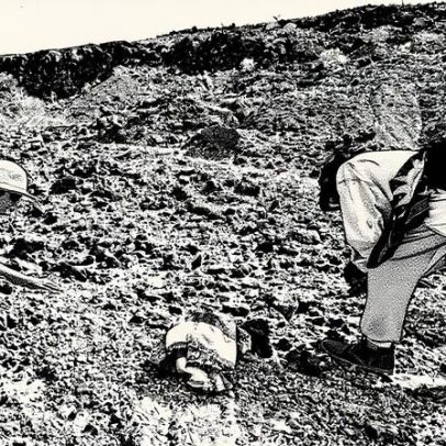 Cientistas descobrem nova espécie que pode elucidar origem do ser humano