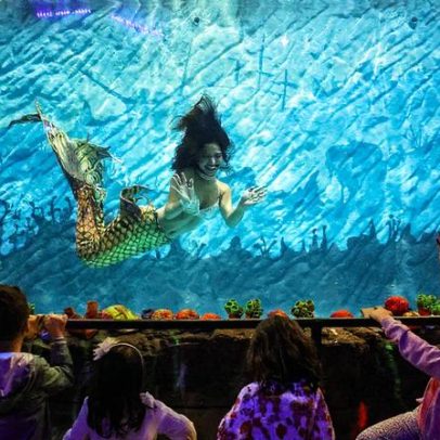 Sereias com asas e cabelos variados surpreendem em nova descoberta científica