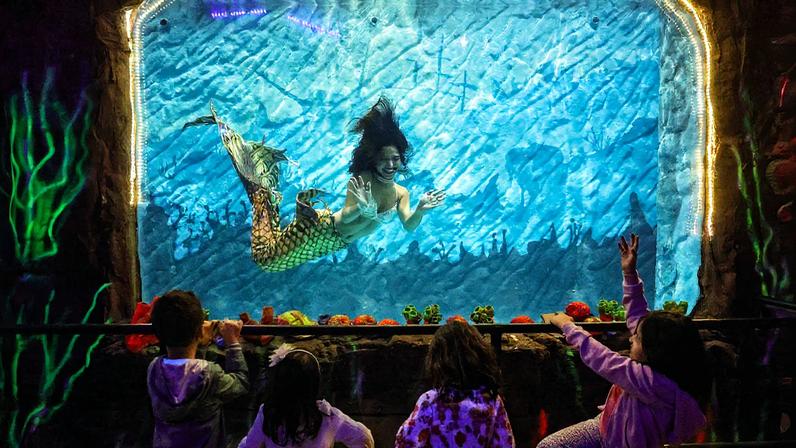 Crianças assistem à atração "Mergulho das Sereias" no Aquário de São Paulo (Foto: Reprodução)